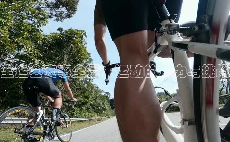 全运会赛事全景：运动的魅力与挑战
