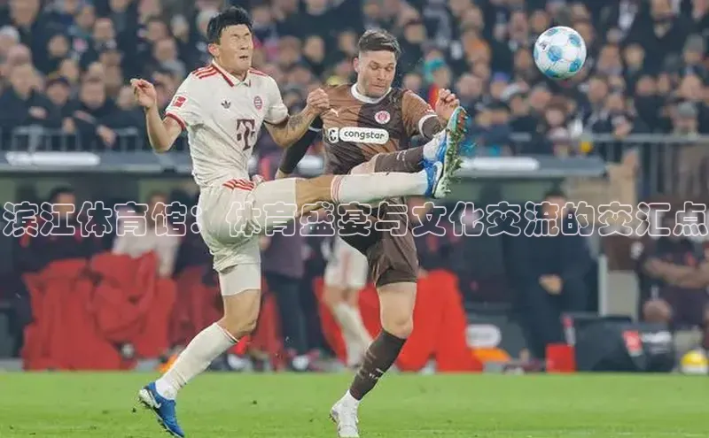 滨江体育馆：体育盛宴与文化交流的交汇点