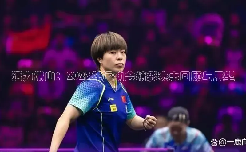 活力佛山：2023年运动会精彩赛事回顾与展望