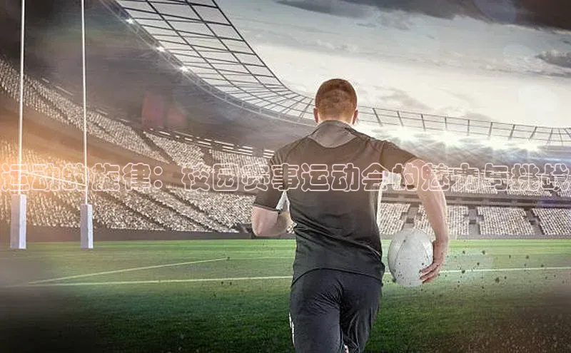 新宝网站登录入口