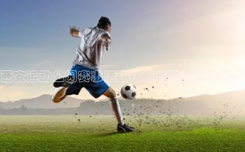 西安运动公园赛事活动综述与数据分析报告