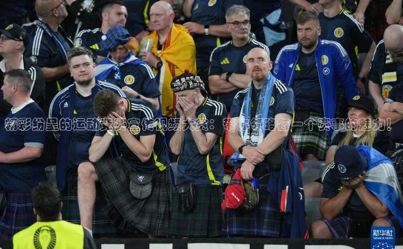 新宝gg在线注册