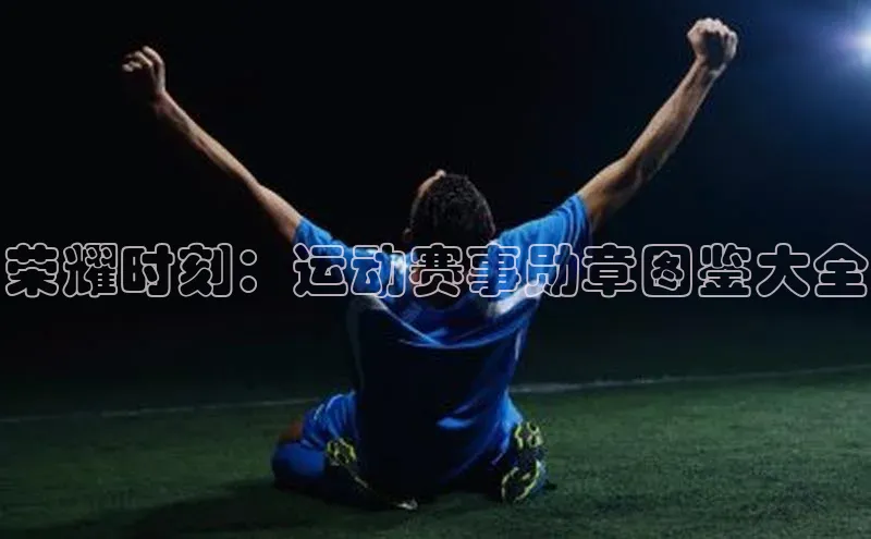 荣耀时刻：运动赛事勋章图鉴大全